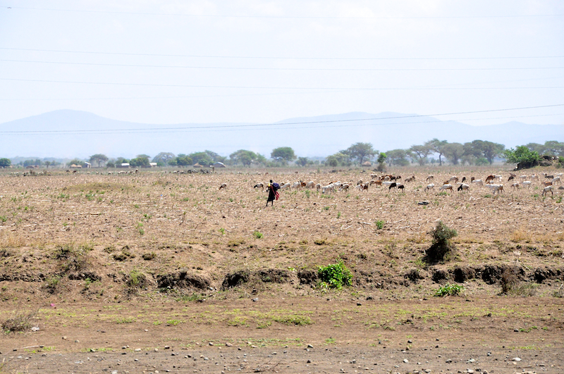 Melanie Heinrich - Travel Images - Nairobi Kenya -Arusha, Tanzania
